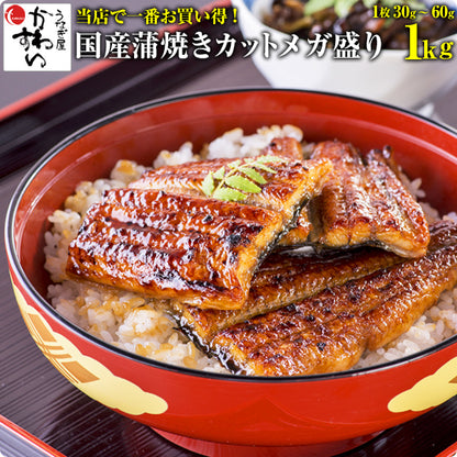 Unagi Kabayaki 2X5kg - Musashi Foods