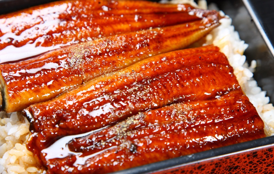 Unagi Kabayaki 2X5kg - Musashi Foods
